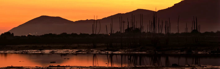 Reserva Natural de las Marismas