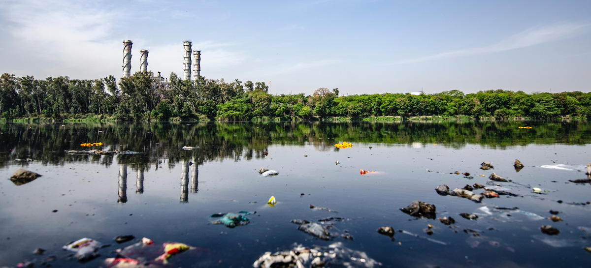 Contaminación del medio ambiente