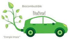 Los bosques y la energía